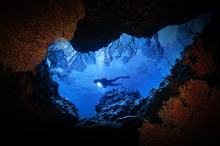Kurs nurkowy Jaskiniowy Cavern Diver