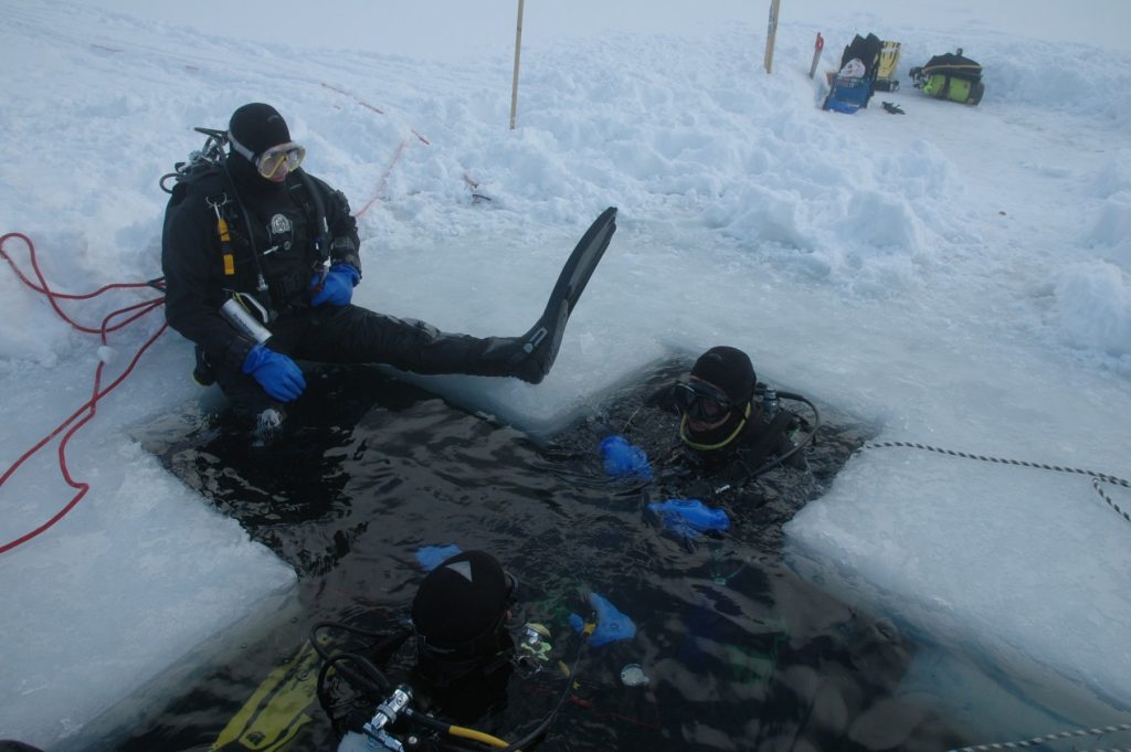 Kurs nurkowy Podlodowy ICE Diver